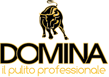 Domina Professional Logo