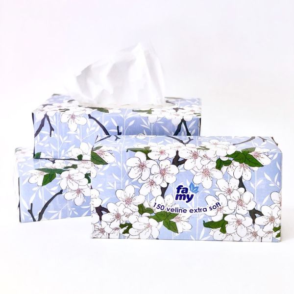 Fazzoletti Bulky Soft 68100 - Confezione Da 100 Pezzi, 2 Veli, 21x21 Cm, EcoLabel E PEFC